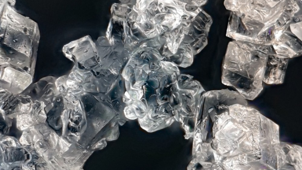 Un animal microscopic a revenit la viaţă după ce a fost îngheţat timp de 24.000 de ani